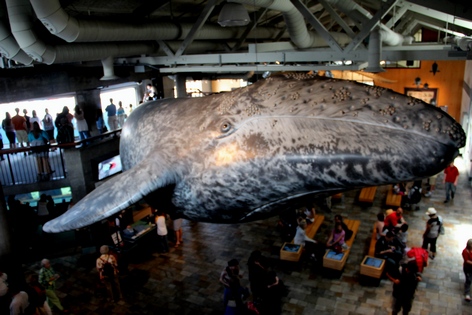 �������� � ��������